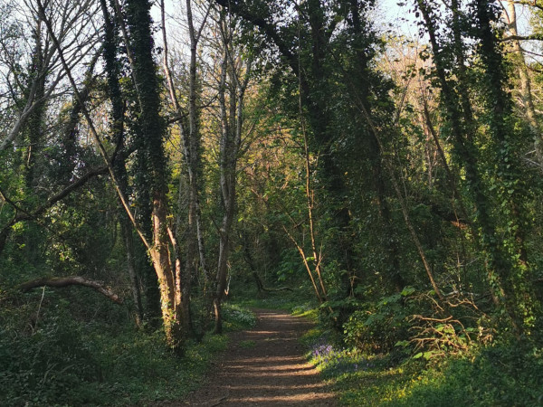 Chemins et sentiers